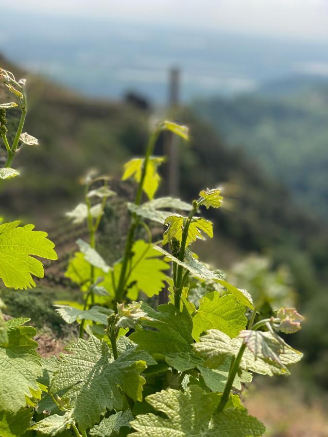 Les Barras'K Villa Saint-Péray Dış mekan fotoğraf