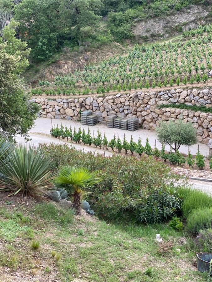 Les Barras'K Villa Saint-Péray Dış mekan fotoğraf